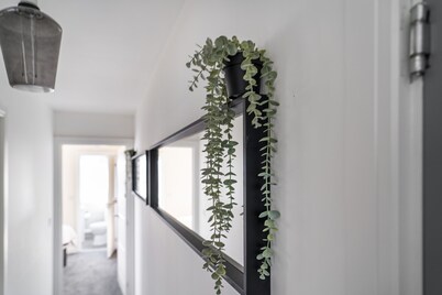 Leicester - Apartment - Sleeps 6 - 97ws