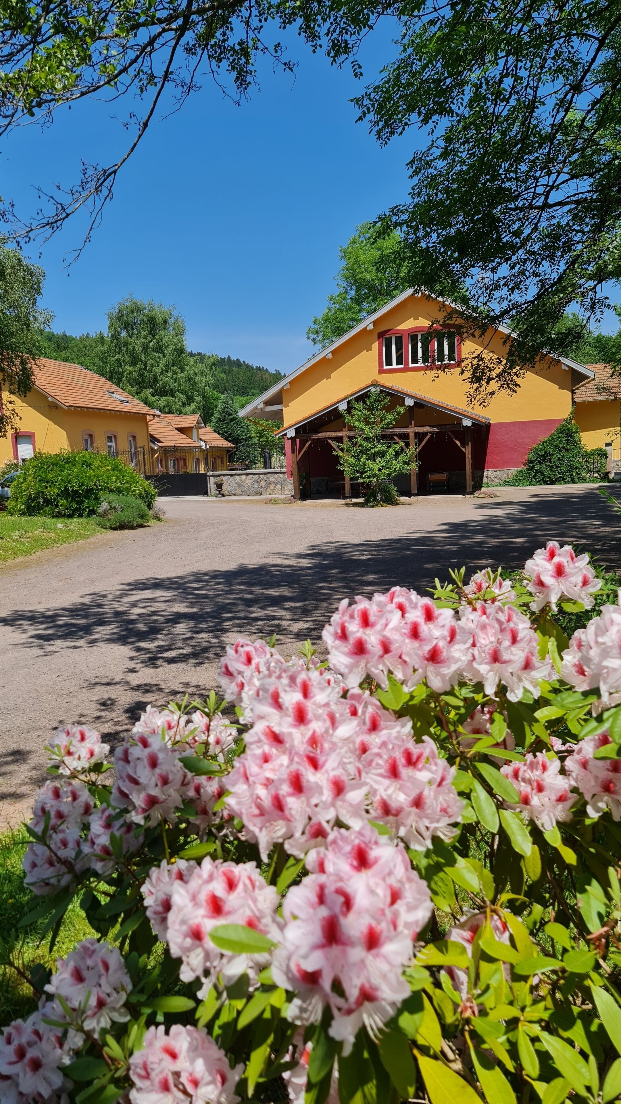 A yellow building with a red roof, surrounded by greenery and flowers.