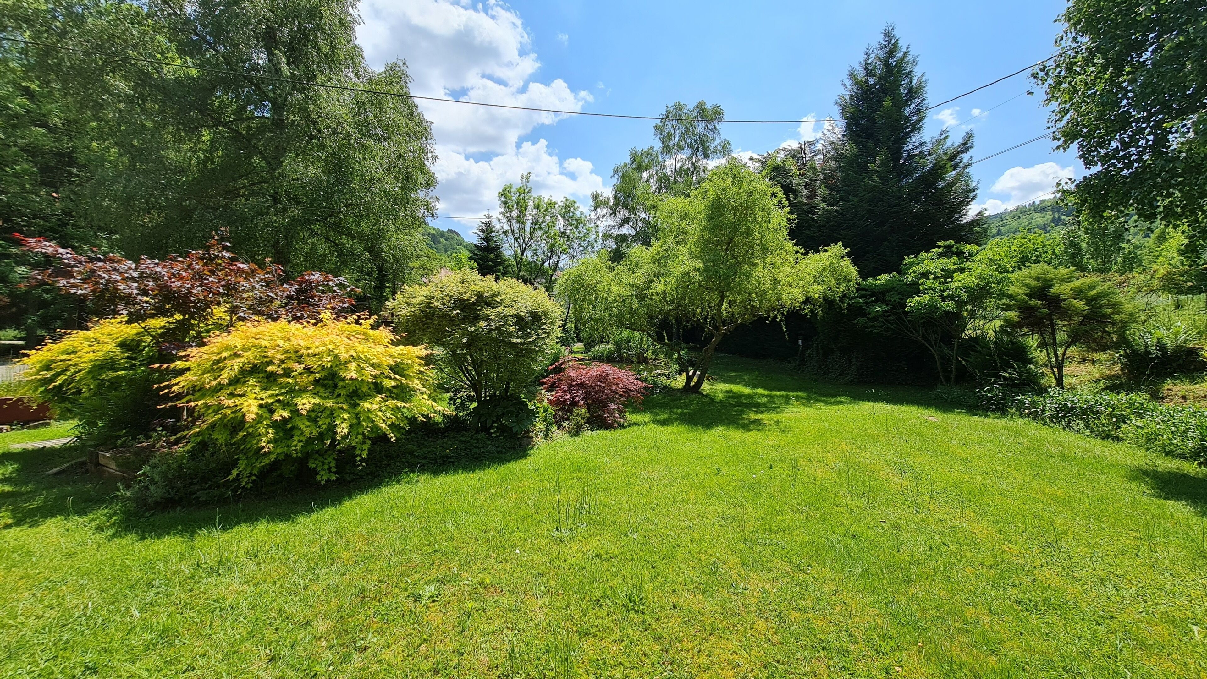 Ein üppiger Garten mit verschiedenen Bäumen und Sträuchern, einem gepflegten Rasen und blauem Himmel.