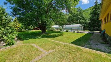 Un jardin bien entretenu, avec un espace de jeux, une serre et un bâtiment jaune.