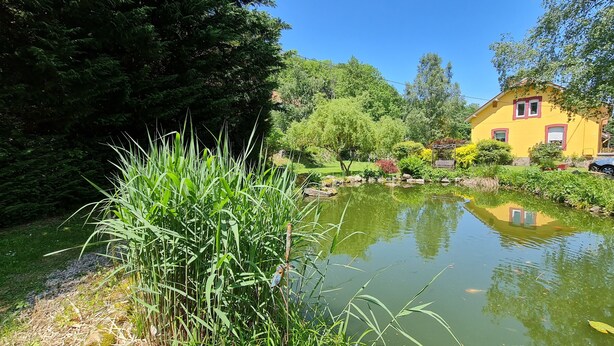 A pond with surrounding greenery, a yellow building with red trim, and a clear blue sky. - DOMAINE DES GRAVIERS (Plainfaing)