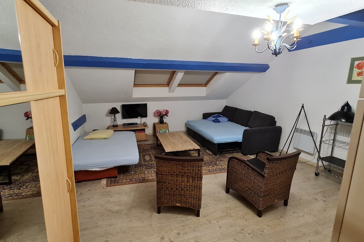 A compact room with a loft bed, a sofa, a small table, and a chair.