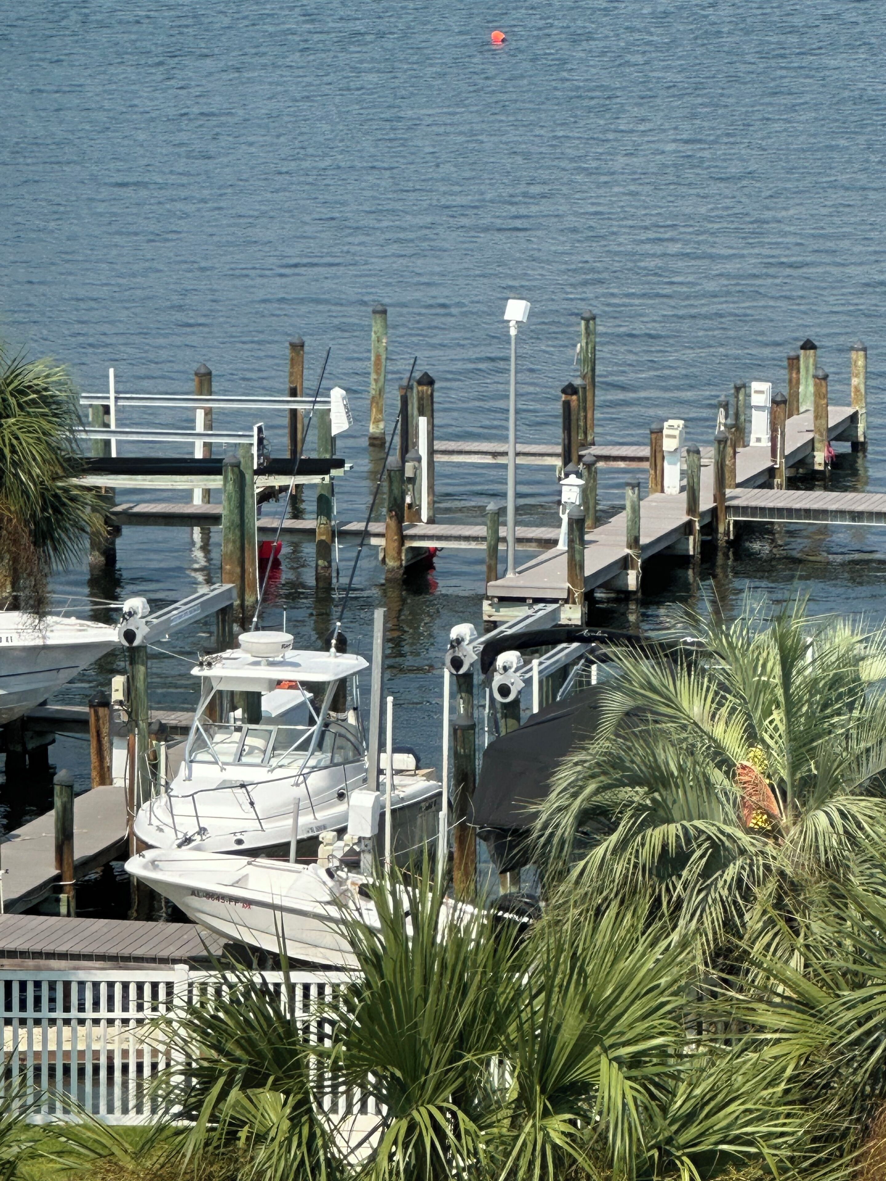 A marina with docked boats, a wooden pier, and palm trees.