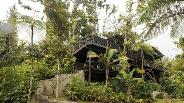 Un bâtiment moderne à plusieurs niveaux, entouré d’une végétation luxuriante, avec un escalier imposant et un balcon.