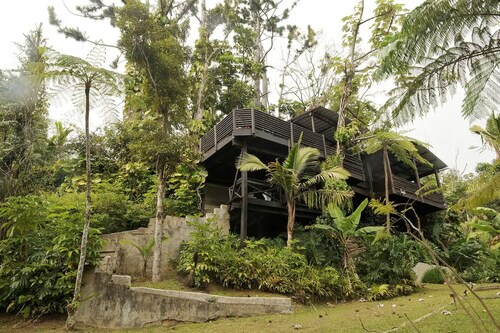 Cottage in a 5 acre property w. a creek in the Rain Forest all for yourself!