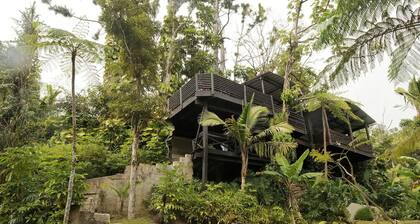 Cottage in a 5 acre property w. a creek in the Rain Forest all for yourself!