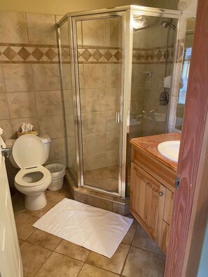 Un baño con cabina de ducha de vidrio, inodoro y lavamanos.
