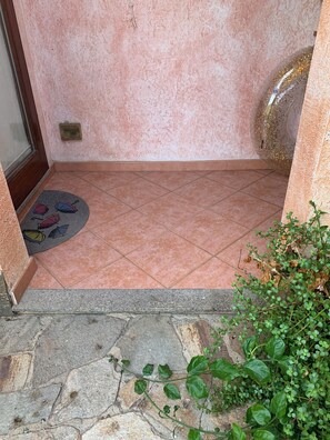 A tiled entrance area with a doormat, a door, and a small plant.