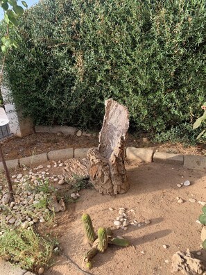 A garden with a cactus, a tree stump, and a dense hedge.