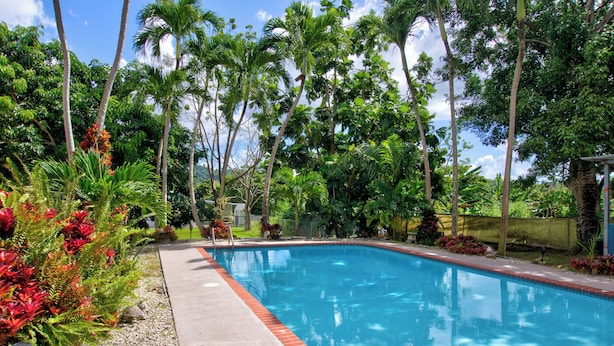 Una piscina rectangular amb un videt vermell, envoltada de vegetació exuberanta i palmeres altes.