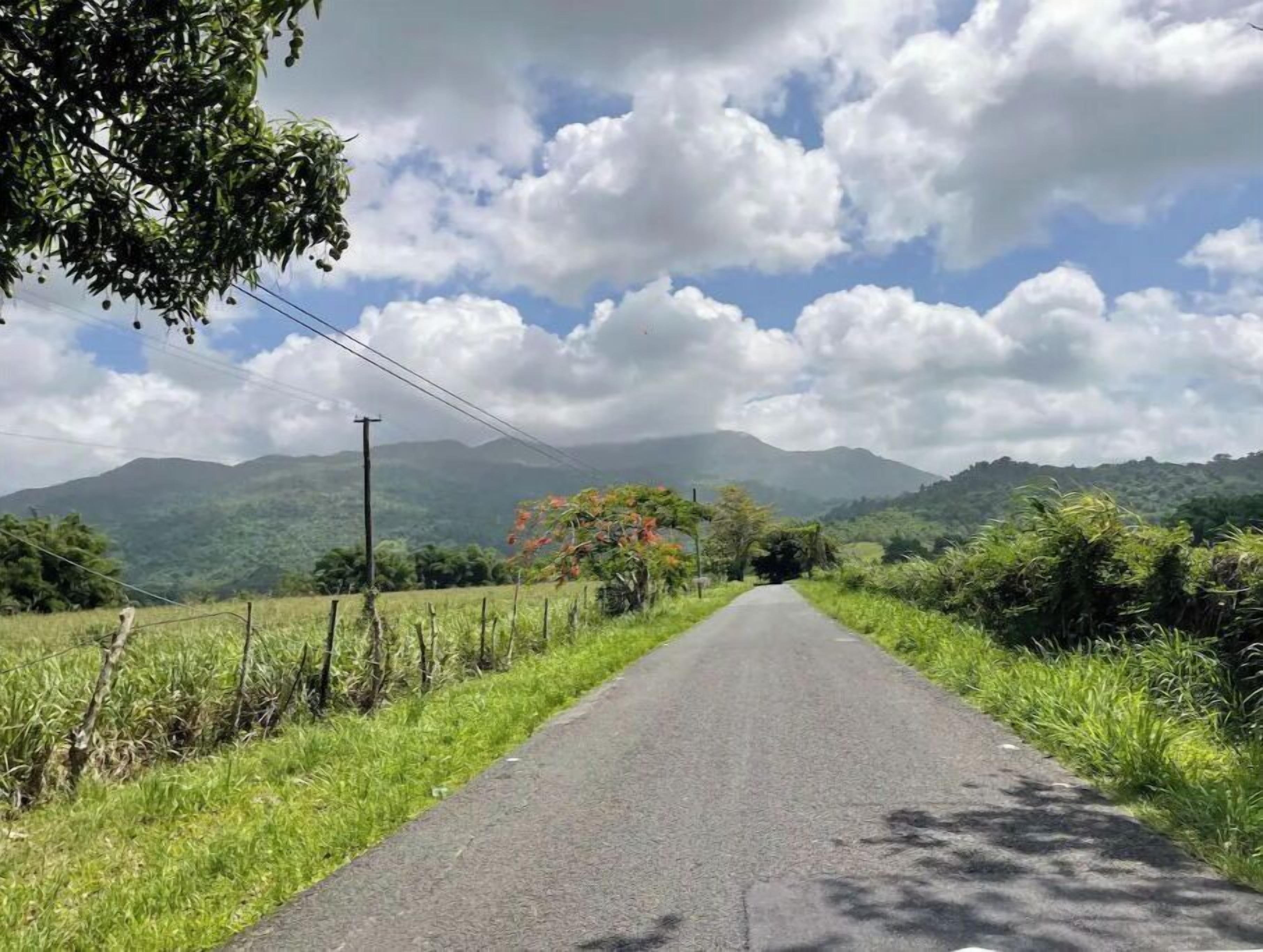 A rural road flanked by lush greenery and distant mountains under a partly cloudy sky.