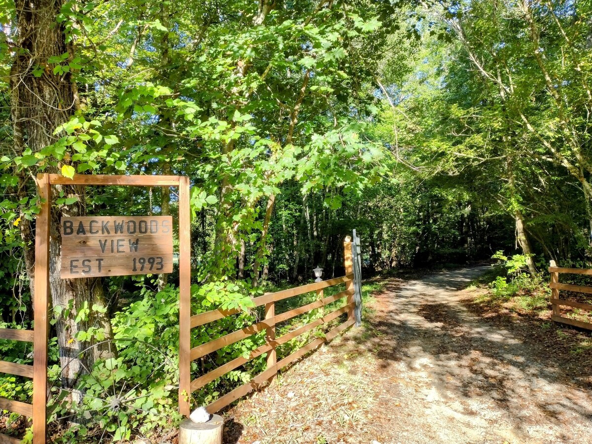 Imagen de perfil del propietario o de la propietaria