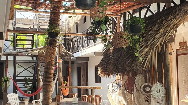 Un espace extérieur aménagé avec des tables et des chaises, un mur recouvert de chaume et des plantes suspendues.