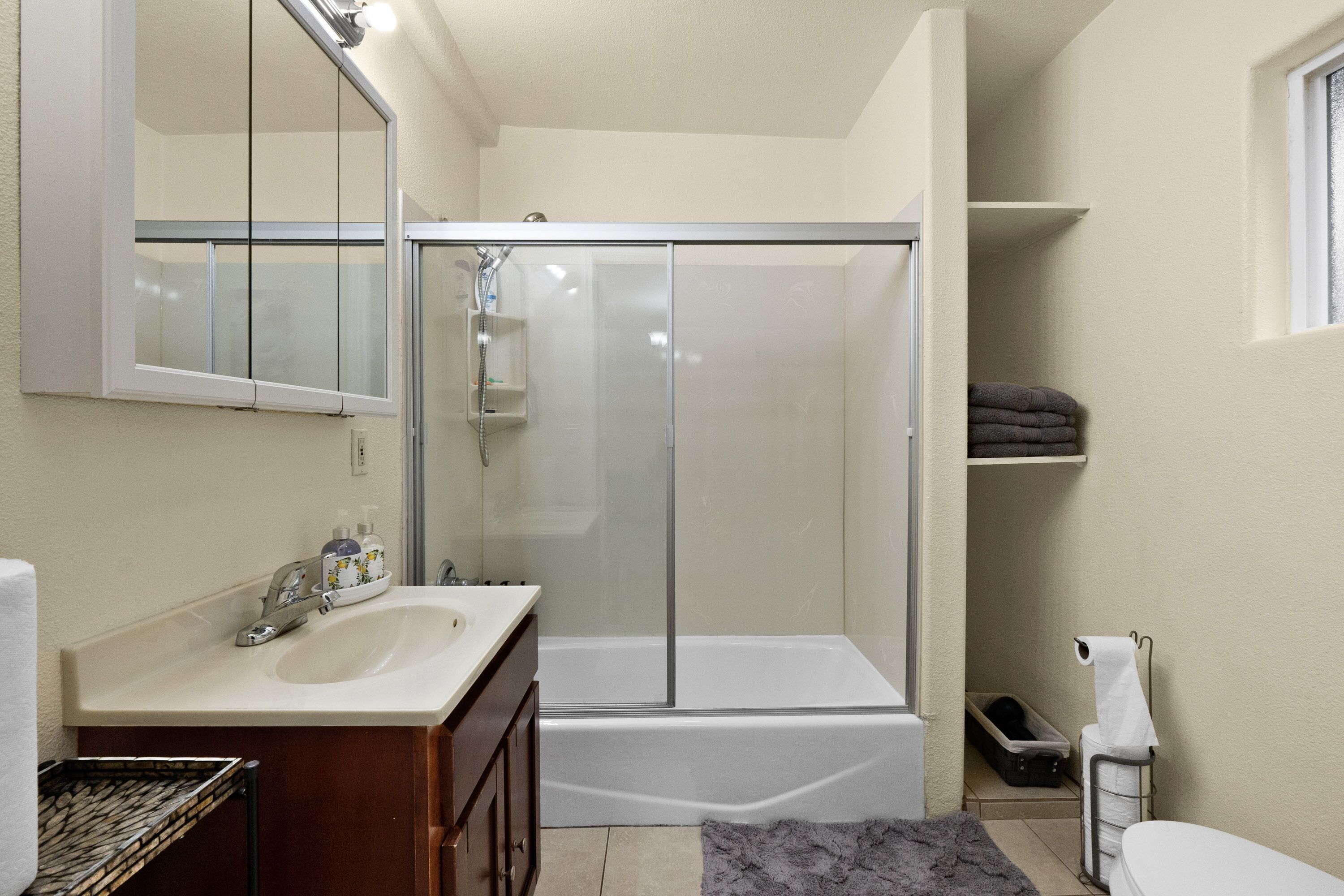 Hair dryer, towels, soap, shampoo