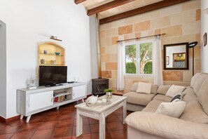 Televisión y chimenea 