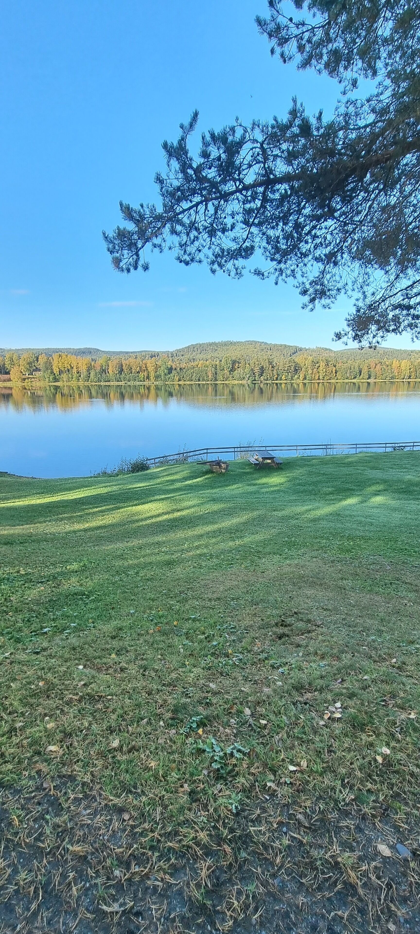 Ett grönområde med en sjö och träd i bakgrunden.