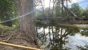 Una escalera de madera baja hacia una masa de agua, rodeada de árboles y vegetación.