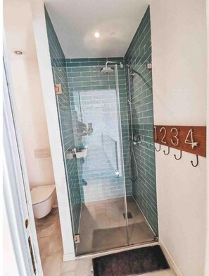 Ducha, secador de pelo, toallas y papel higiénico
