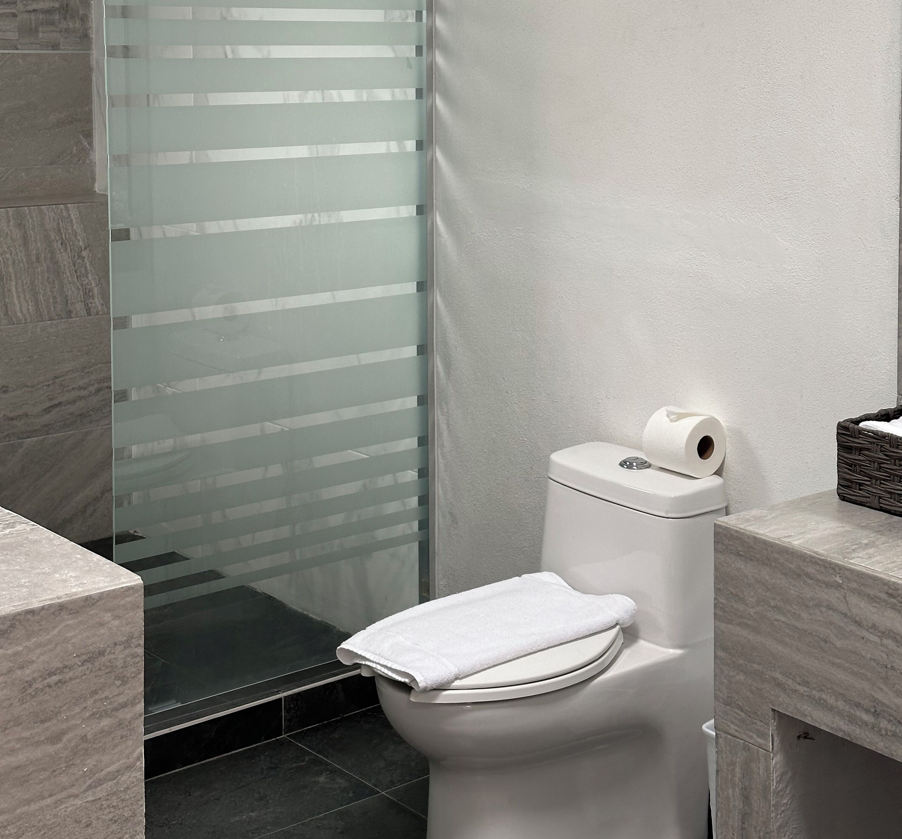 A modern bathroom with a toilet, a glass shower enclosure, and a marble countertop.
