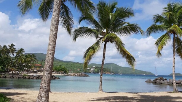 A beach with palm trees, clear water, and distant mountains. - T3 vue mer sur les Caraïbes (Les Trois-Îlets)