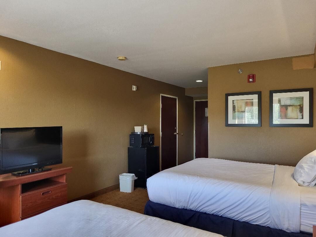 Habitación de hotel con dos camas, un televisor sobre un soporte de madera, un cubo de basura pequeño y una puerta.