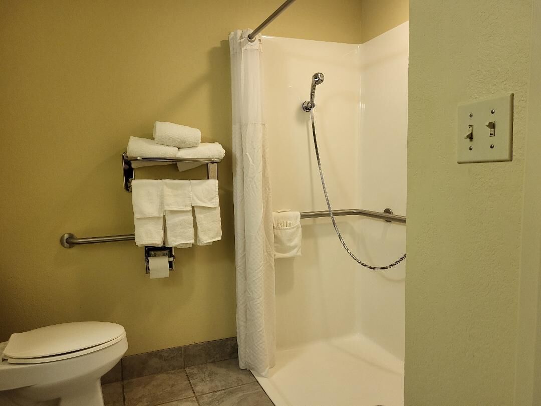 A bathroom with a shower, toilet, and towel rack.