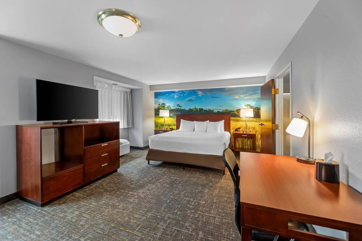 Une chambre d’hôtel avec un lit, une télévision, un bureau, une lampe et un tableau au mur.