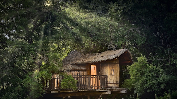 A wooden cabin on stilts surrounded by dense forest. - Agroturismo Mari Cruz (Arce)