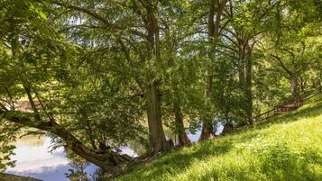 Terrein van de accommodatie