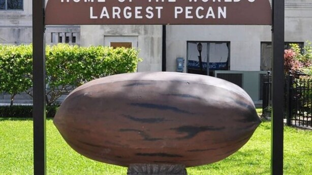 Une pancarte portant l'inscription « SEGUN, ville où se trouve le plus grand noix de pécan au monde », ainsi qu'une sculpture représentant un noix de pécan.