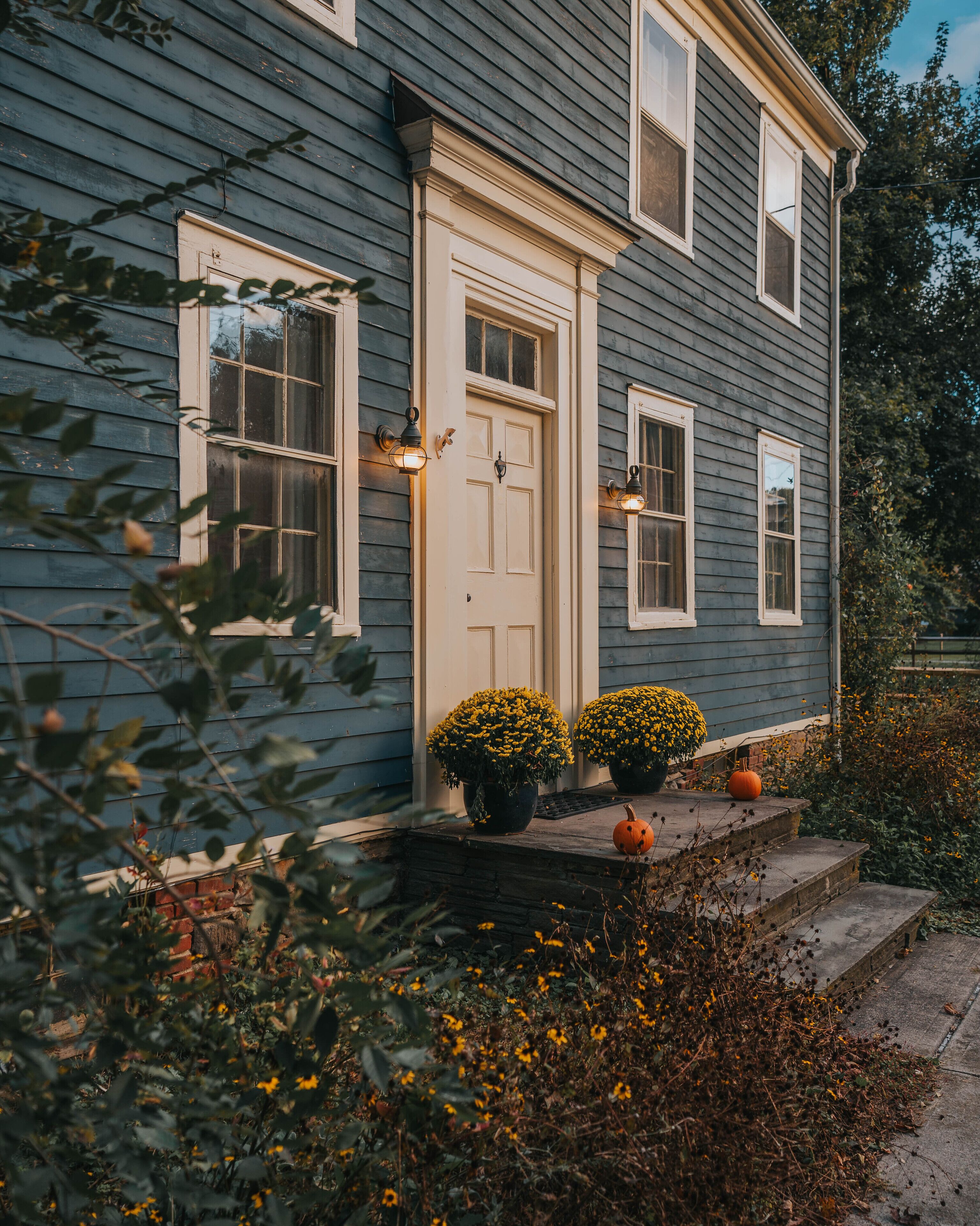 The Bluehouse - Charming Renovated Cottage
