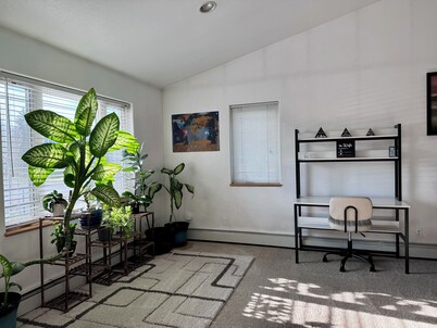 Experience the Northern Lights Right from Your Front Door