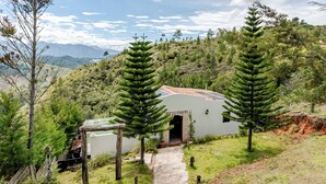 A small, rustic cabin with a dirt path leading to the entrance, surrounded by lush greenery and pine trees.