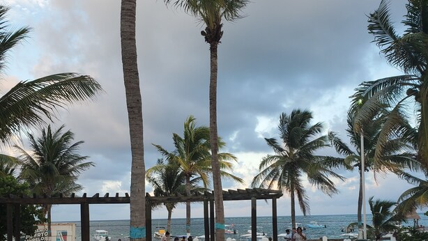 A beachside area with palm trees, a gazebo, and a view of the sea.