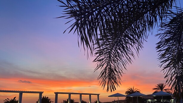 Un área junto a la piscina con sillas de descanso y sombrillas, una pérgola y palmeras al atardecer.