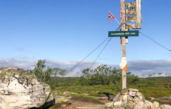 Un panneau indicateur en bois, orné d’un drapeau, avec une montagne en arrière-plan et un ciel nuageux.