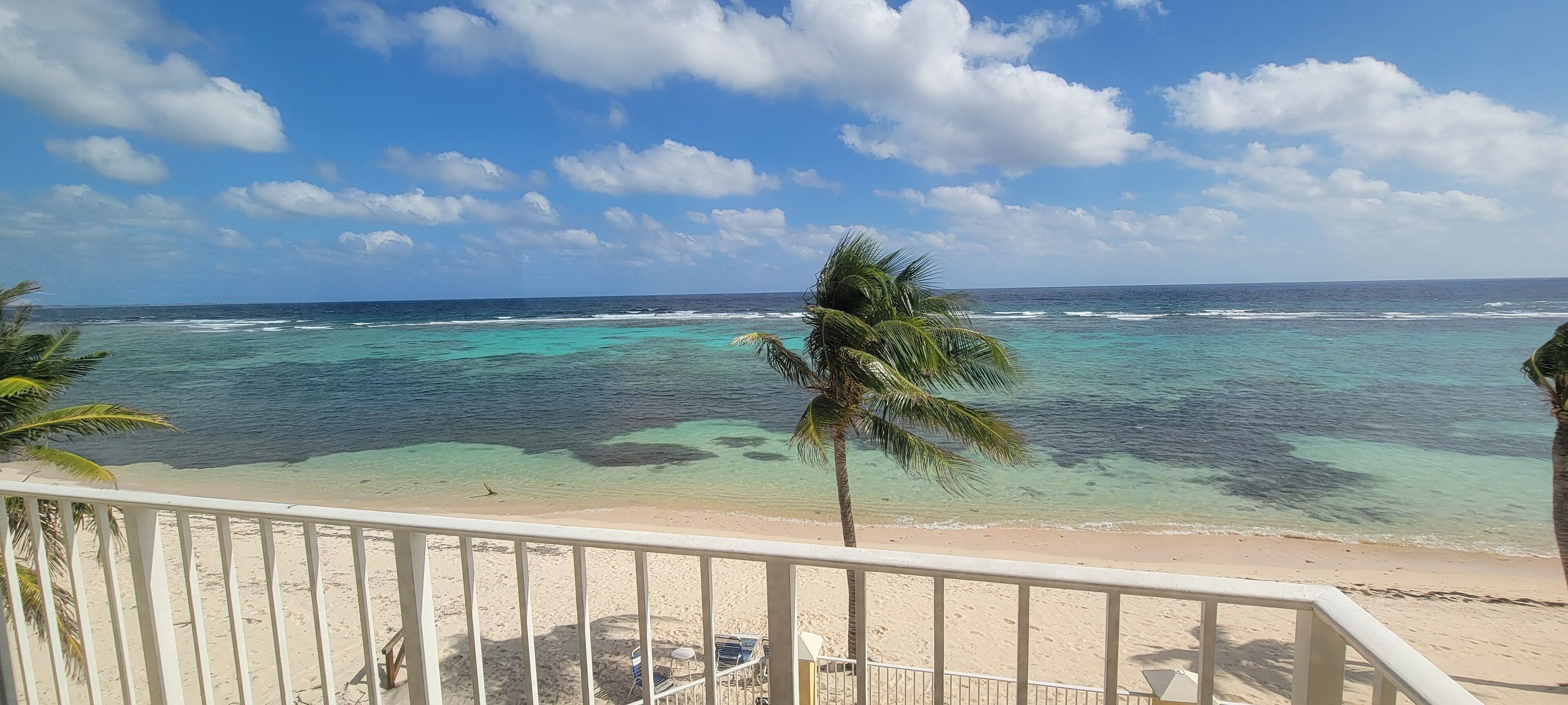 Une plage avec une vue imprenable sur une eau turquoise et limpide, un rivage sablonneux et un palmier.