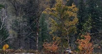Cozy Cottage at Dragonfly Horse Ranch