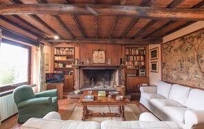 Televisión, chimenea y tenis de mesa 