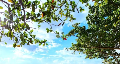 Ocean views, amazing sunset, pool and peaceful surroundings.