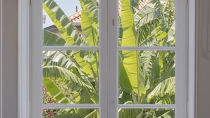 Ein Fenster mit vier Fenstern, jedes zeigt üppige, grüne Bananenblätter und einige rosafarbene Blüten.