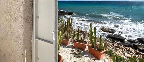 In Strandnähe, Angeln