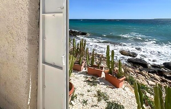 Playa en los alrededores y pesca
