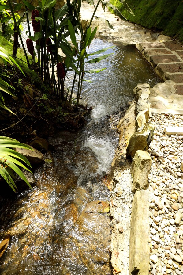 Fountain