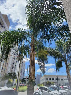 Área da propriedade