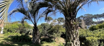 Loft in Montoya, La Barra