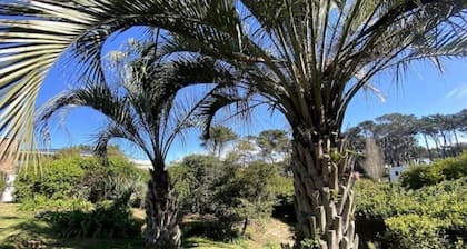 Loft in Montoya, La Barra