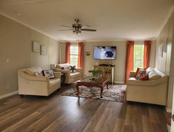 智能电视、DVD 播放器、立体声音响