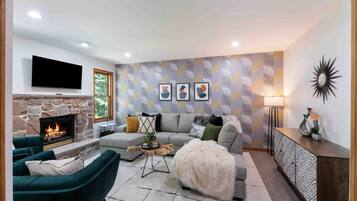 TV, fireplace, video games, books