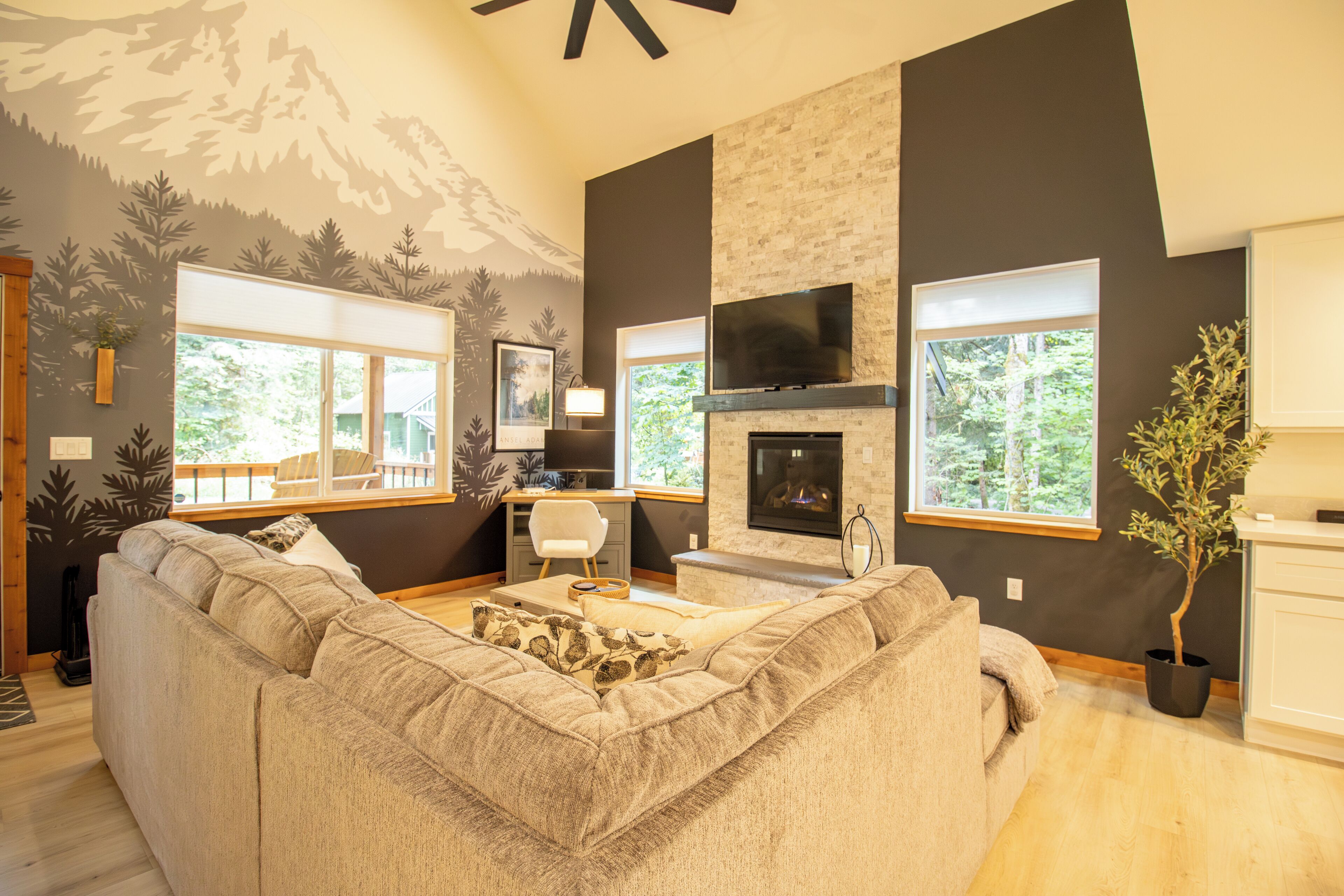 Smart TV, chimenea, libros y estéreo 